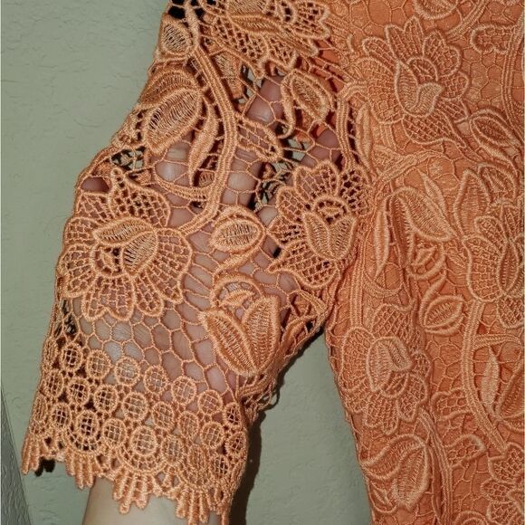 ANTONIO MELANI SAMSON BEAUTIFUL LACE DRESS - Picture 9 of 11